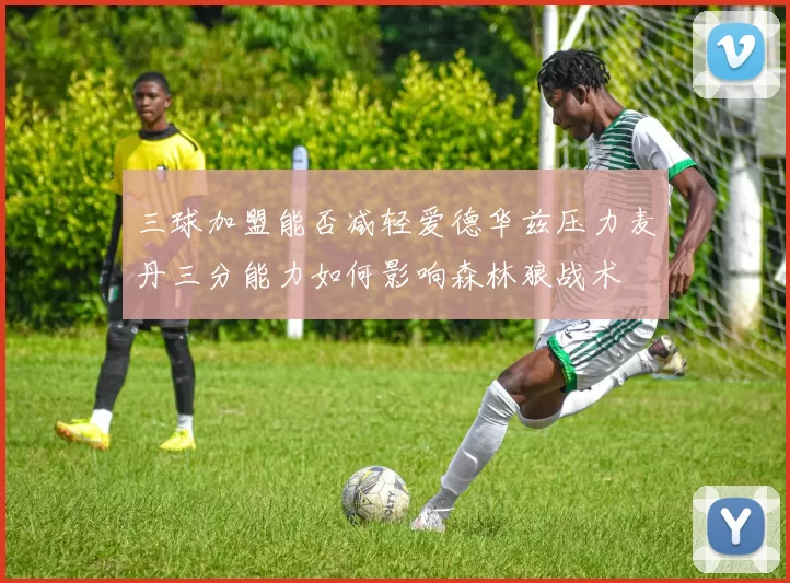 三球加盟能否减轻爱德华兹压力麦丹三分能力如何影响森林狼战术